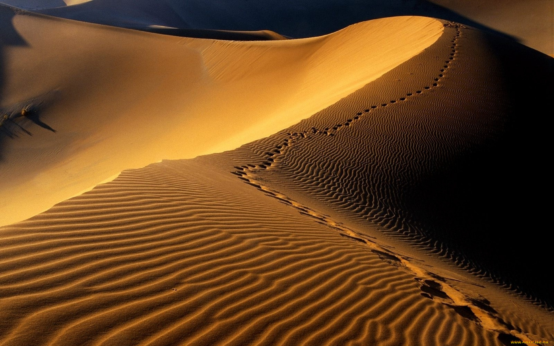 Нубийская пустыня